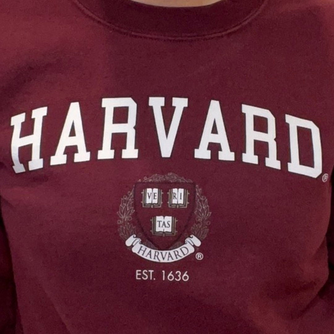 Harvard Crewneck Sweater, Size Small, Pullover, Vintage Harvard University Sweatshirt, Cotton Blend Gildan Sweater, Burgundy, Jumper